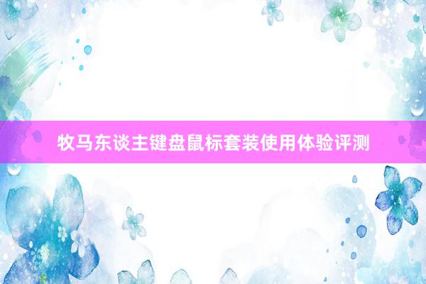 牧马东谈主键盘鼠标套装使用体验评测
